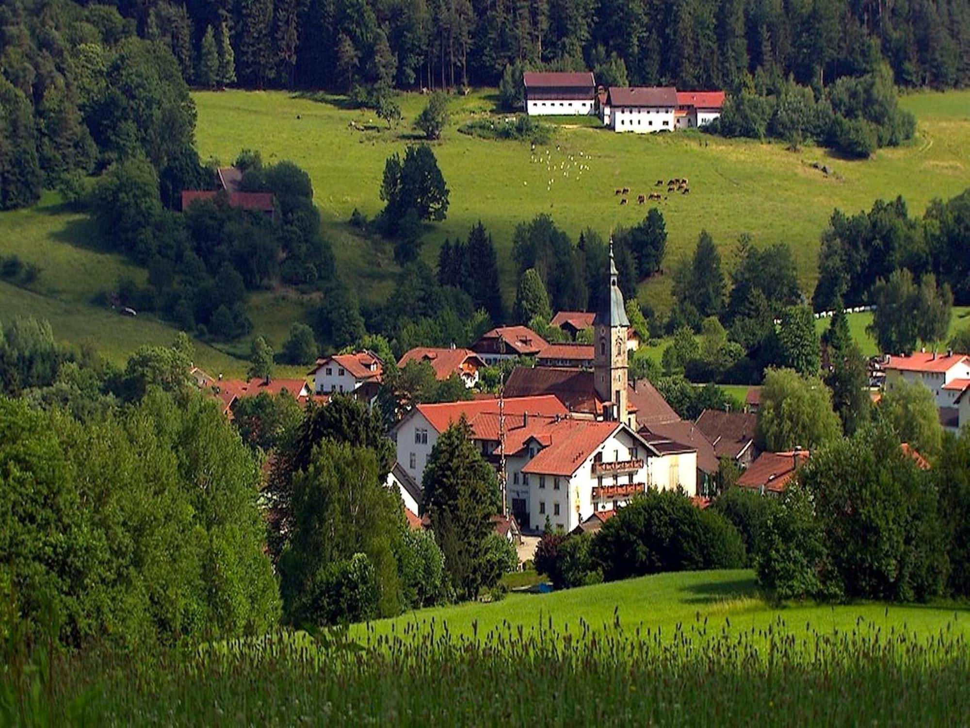 Comfortable Apartment In Zenting In Lower Bavaria Dış mekan fotoğraf