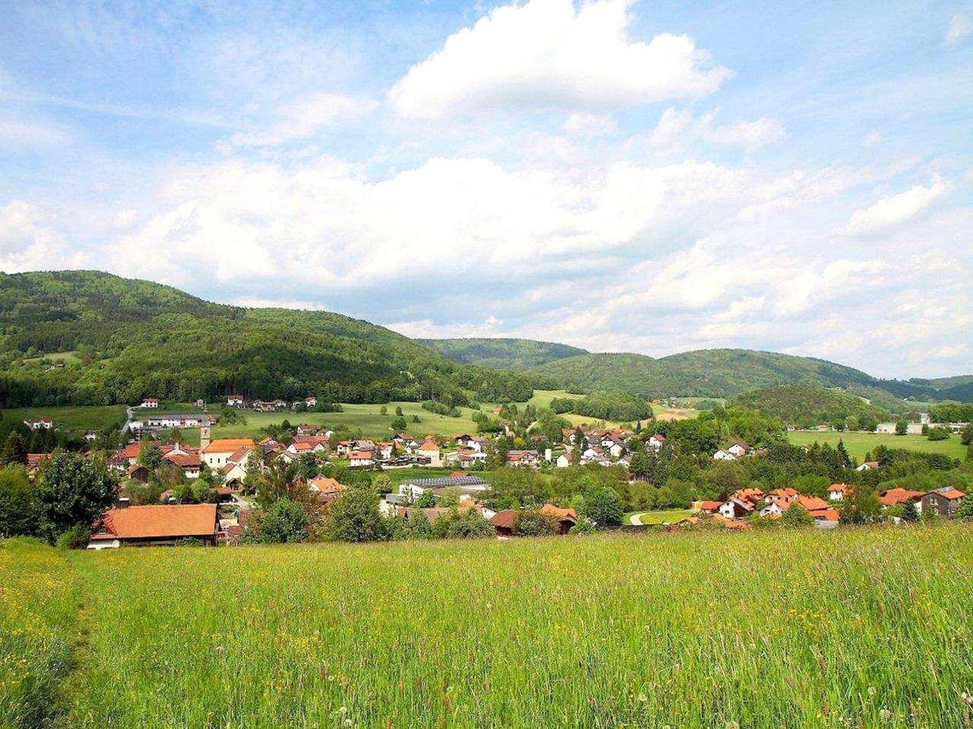 Comfortable Apartment In Zenting In Lower Bavaria Dış mekan fotoğraf