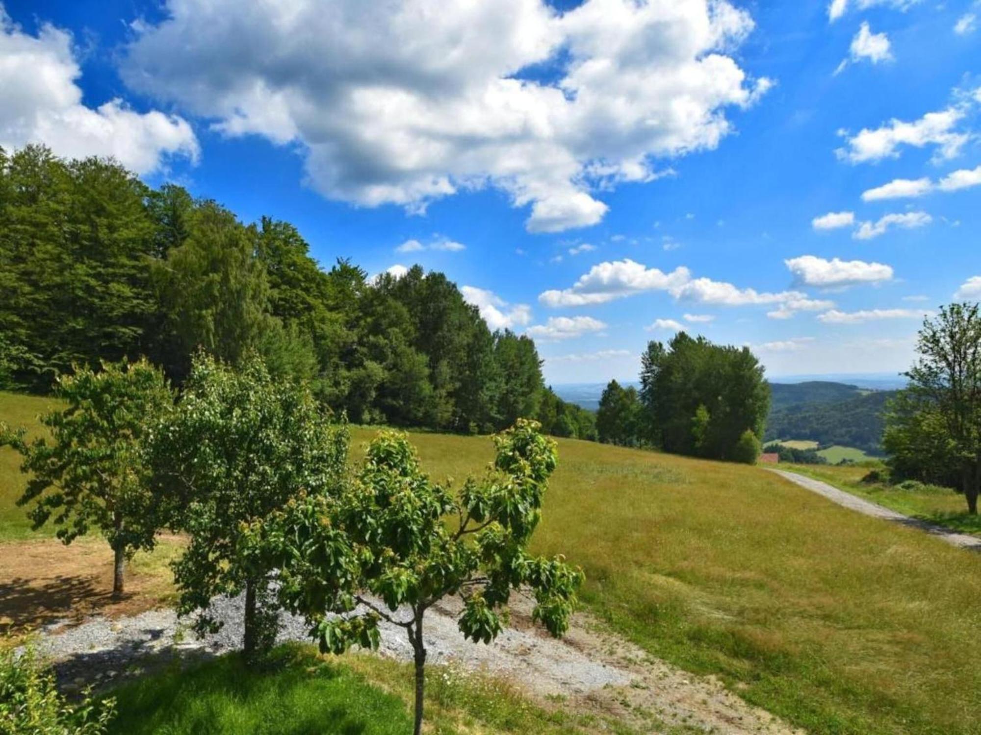Comfortable Apartment In Zenting In Lower Bavaria Dış mekan fotoğraf